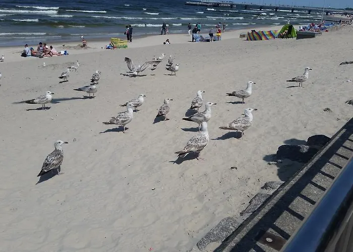 Appartamento Dworcowa Kołobrzeg