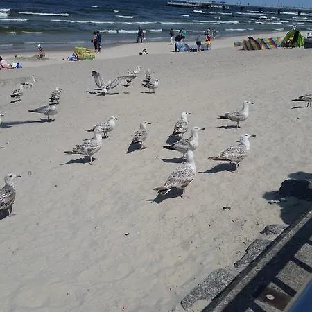 Apartment Dworcowa Kolberg